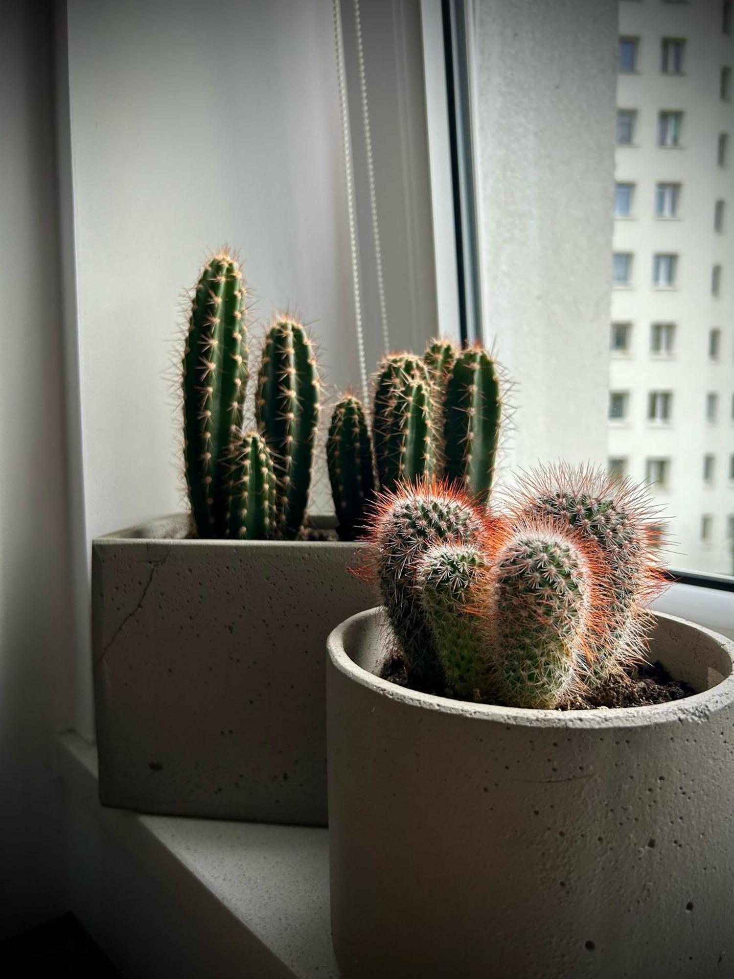 Metro Trocka Apartment ワルシャワ エクステリア 写真